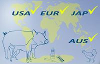 Participants of our Webinar Series on Regulations and Approval Process in Different Regions of the World: Europe